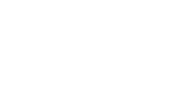 100 Arabica Taze çekirdek Kahveler